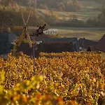 Semesterbostad Vineyard Brodaric Metlika