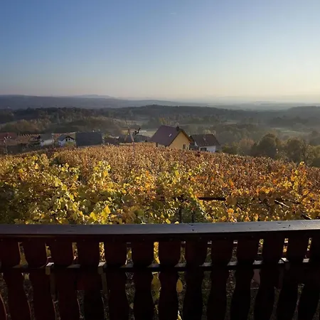 Dom wakacyjny Vineyard Brodaric Metlika