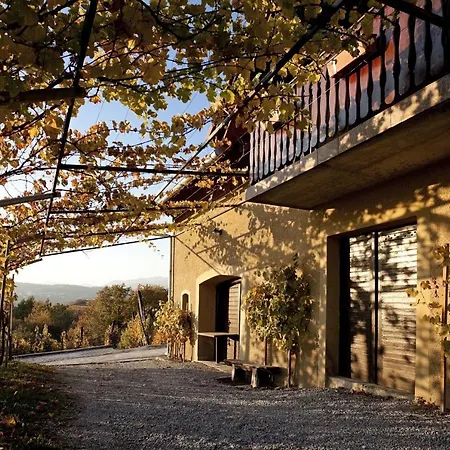 Vineyard Brodaric بيت للعطل