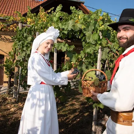 Semesterbostad Vineyard Brodaric Metlika