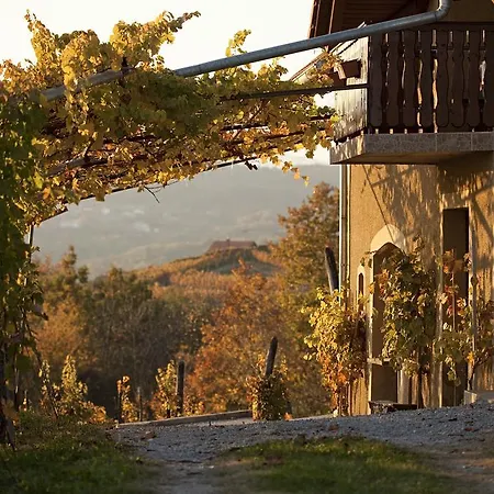 Dom wakacyjny Vineyard Brodaric *