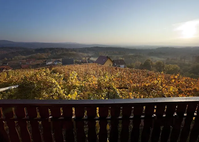 Σπίτι διακοπών Vineyard Brodaric Metlika