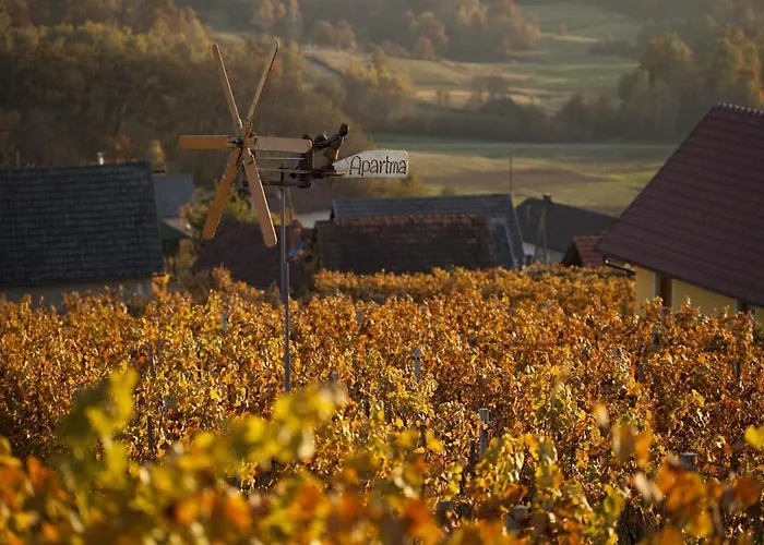 Σπίτι διακοπών Vineyard Brodaric Metlika