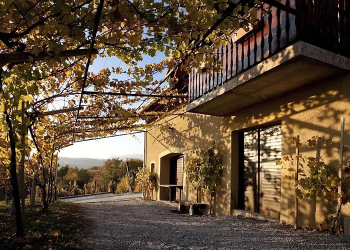 Vineyard Brodaric Σπίτι διακοπών