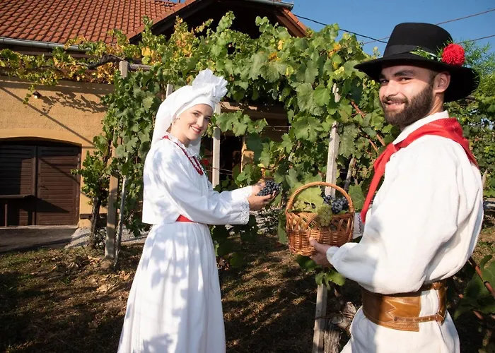 Σπίτι διακοπών Vineyard Brodaric Metlika