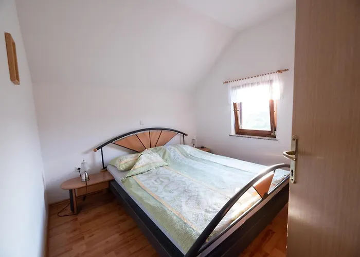 Vineyard Brodaric Metlika