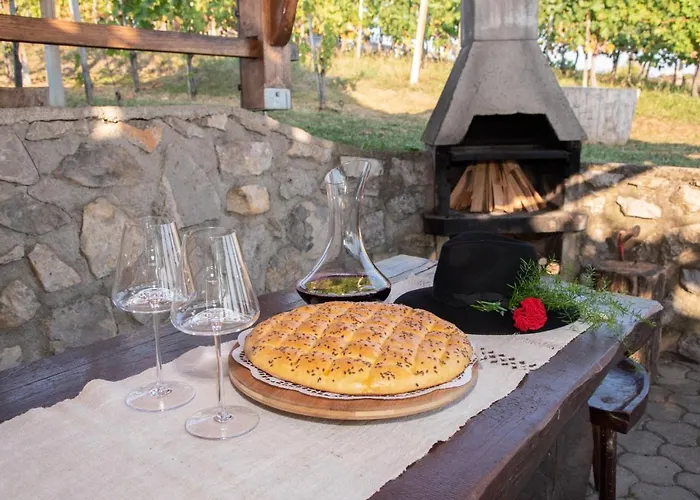 Vineyard Brodaric * Metlika